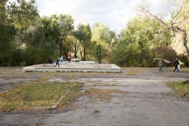 Nane Diehl Fotografie