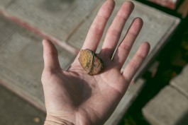 Nane Diehl Fotografie