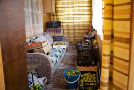 Nane Diehl Fotografie