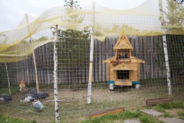 Nane Diehl Fotografie