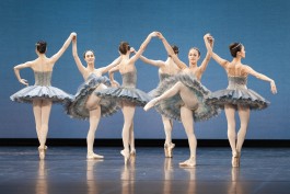 Nane Diehl Fotografie