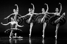 Nane Diehl Fotografie