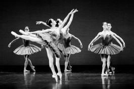 Nane Diehl Fotografie