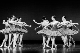 Nane Diehl Fotografie