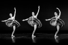 Nane Diehl Fotografie