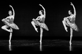 Nane Diehl Fotografie