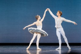 Nane Diehl Fotografie