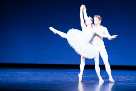 Nane Diehl Fotografie