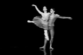 Nane Diehl Fotografie