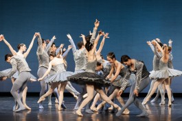 Nane Diehl Fotografie