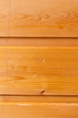 Nane Diehl Fotografie