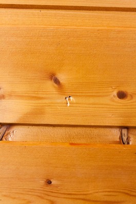 Nane Diehl Fotografie