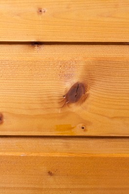 Nane Diehl Fotografie