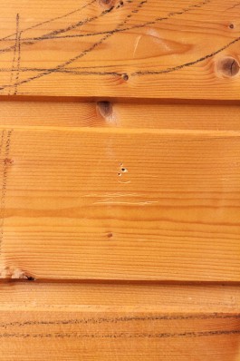 Nane Diehl Fotografie