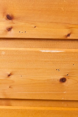 Nane Diehl Fotografie