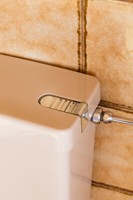 Nane Diehl Fotografie