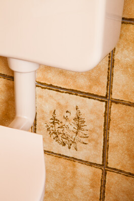 Nane Diehl Fotografie