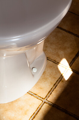 Nane Diehl Fotografie