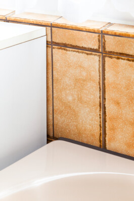 Nane Diehl Fotografie